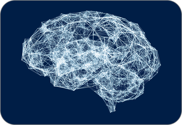 A structure of the human brain. Behavior Modification & Prediction